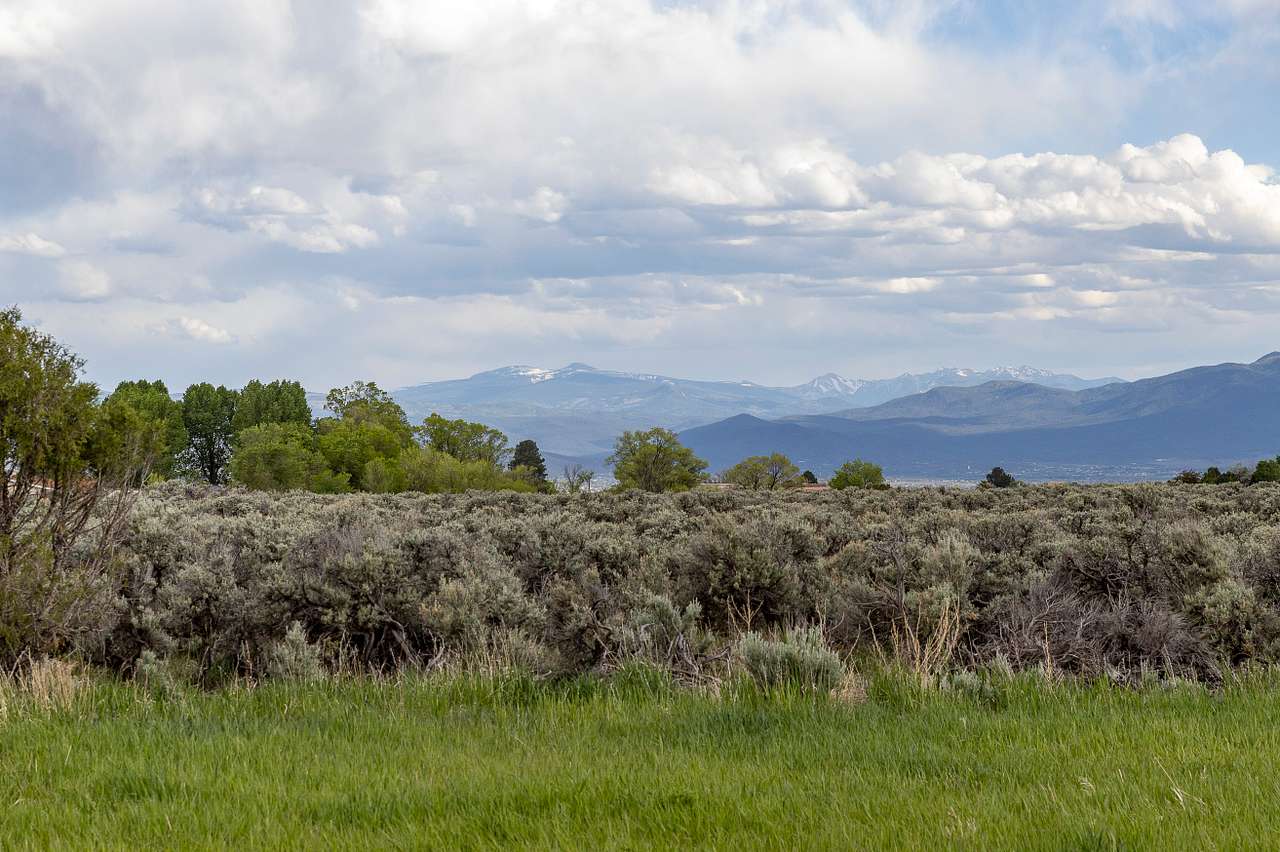 Dragonfly Mountain Ranch
