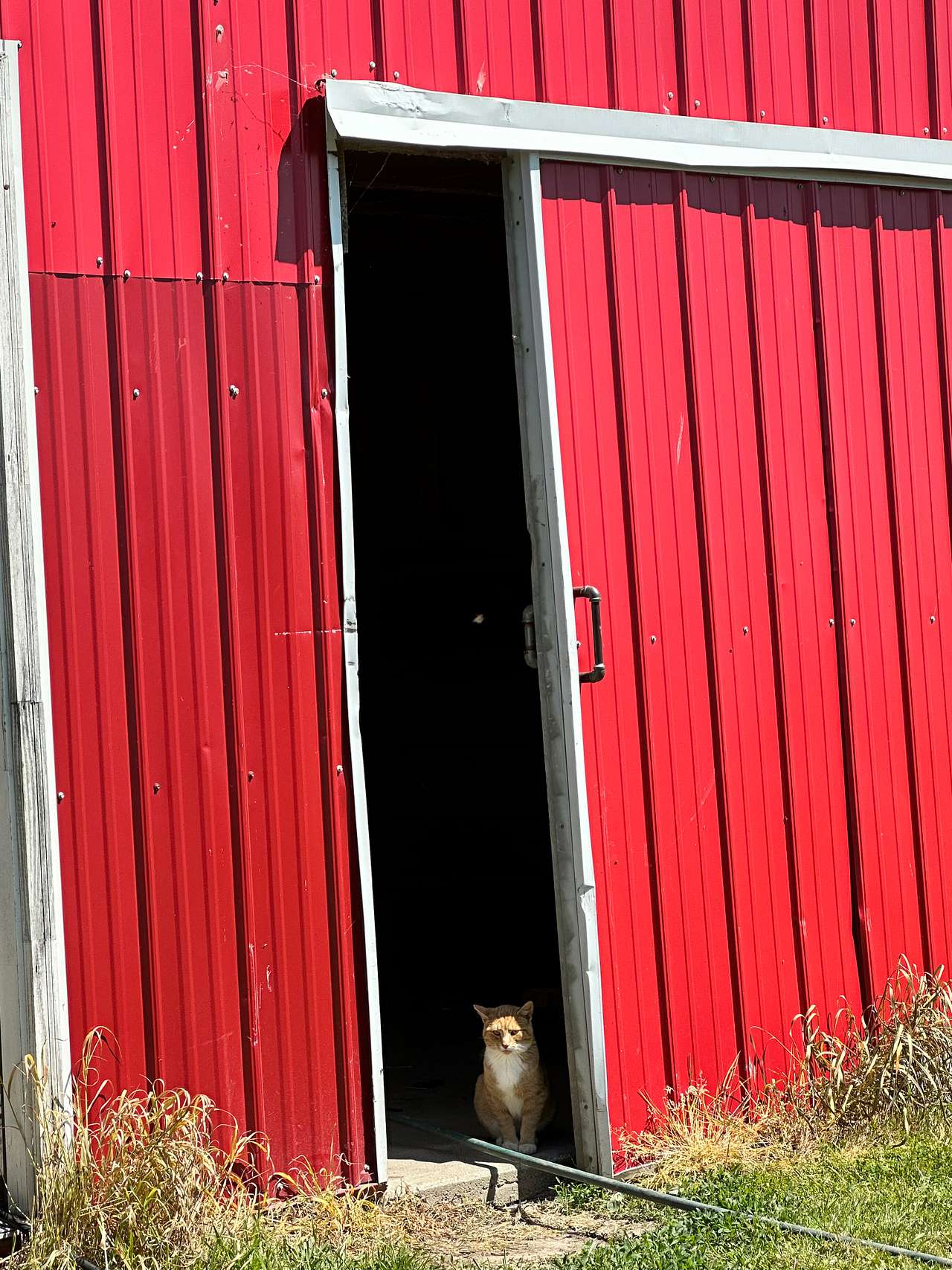 Andy Kromer Farms