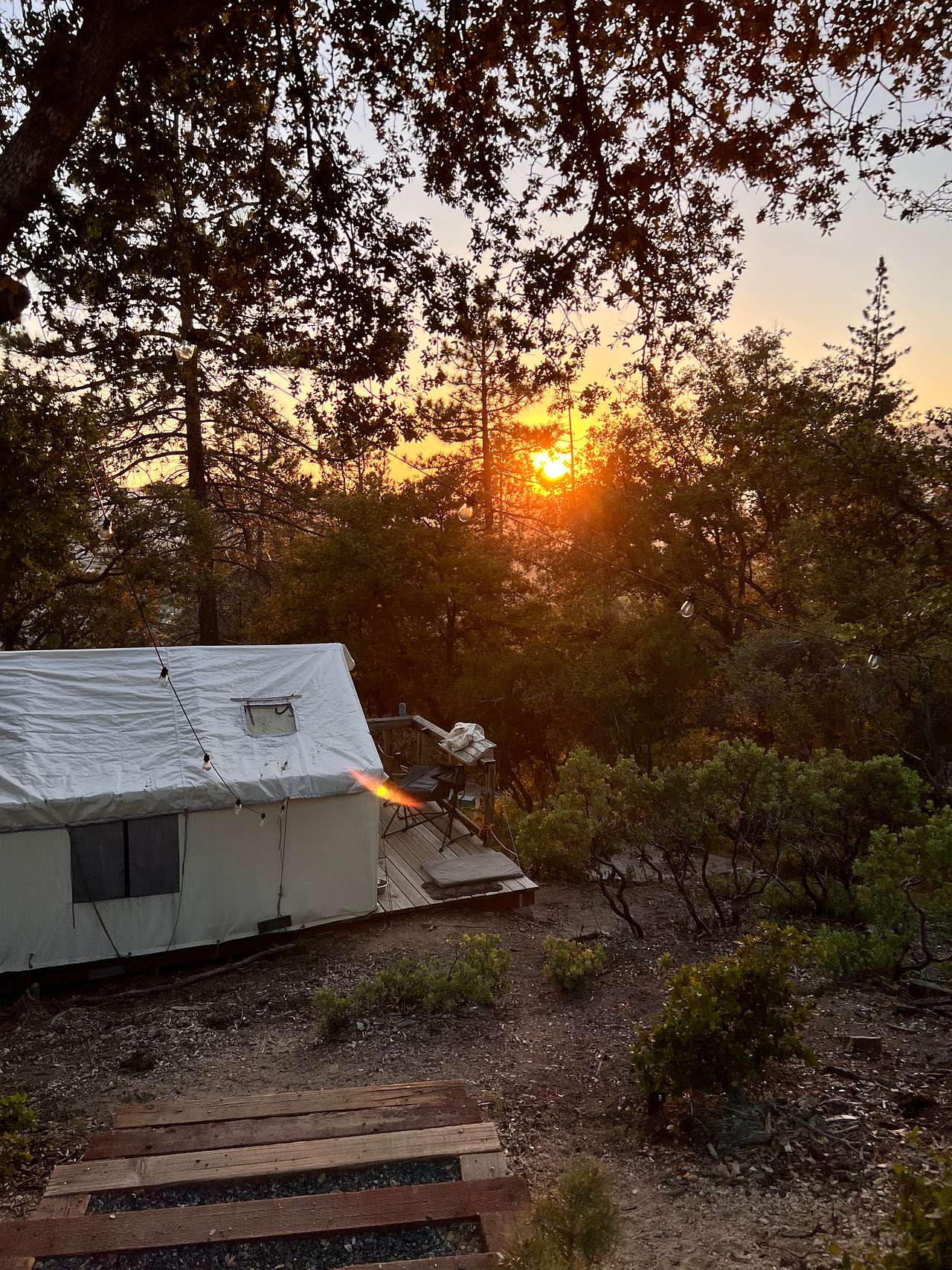 Serene forest privacy for 4WD