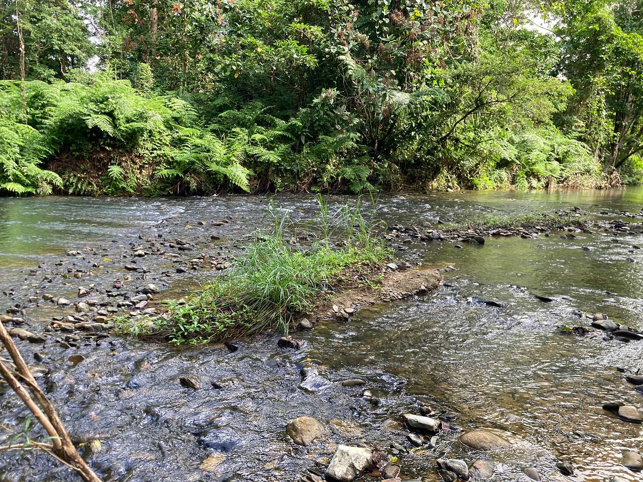 Beautiful running Creek 