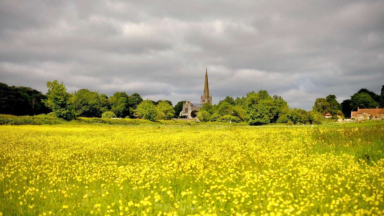 Snettisham Meadows