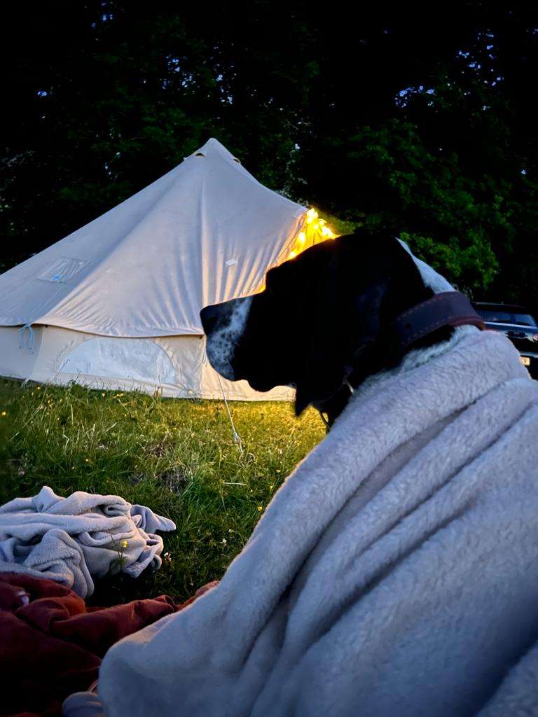 Woodlands Camping