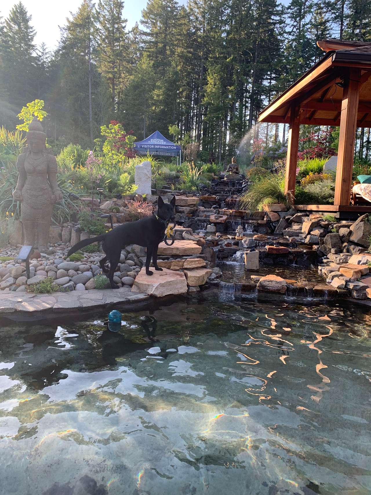 Zen Garden Sanctuary Spa