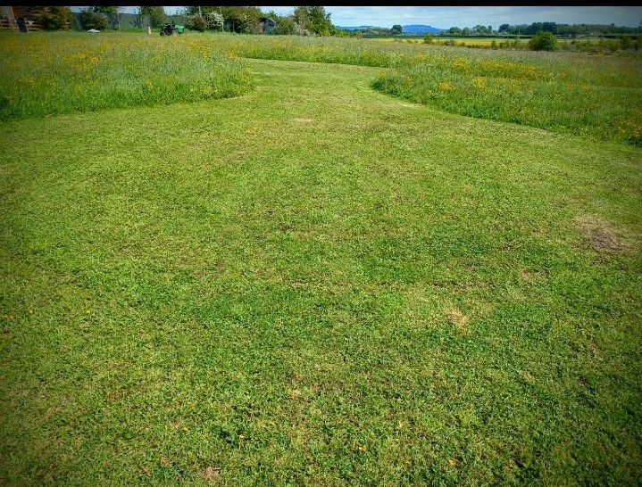 Moss Rose Campsite
