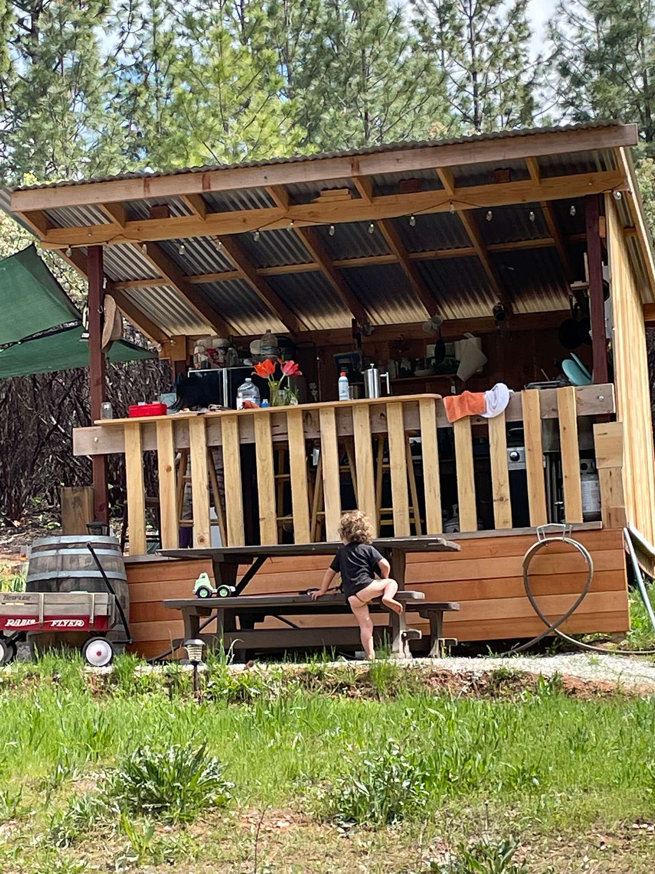 Mighty Farm & Camp 🐕💐🏕️🌅
