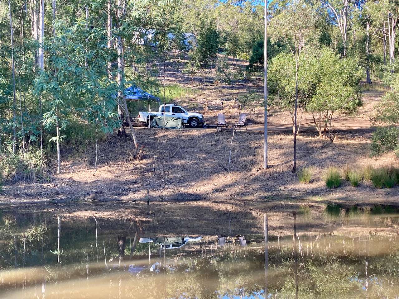 Dragonfly Dam - Moogerah