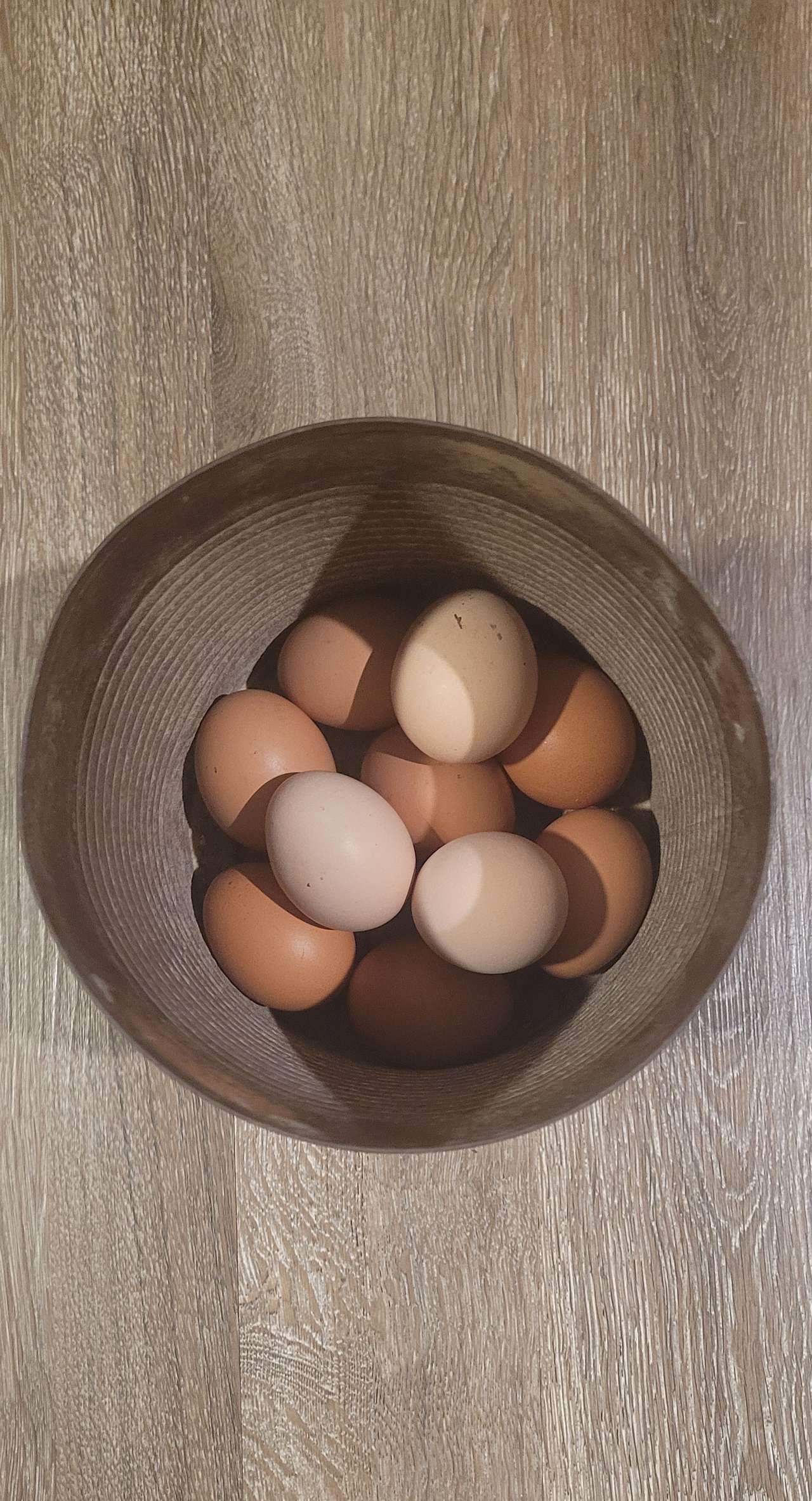 Fresh Eggs to Gather!
