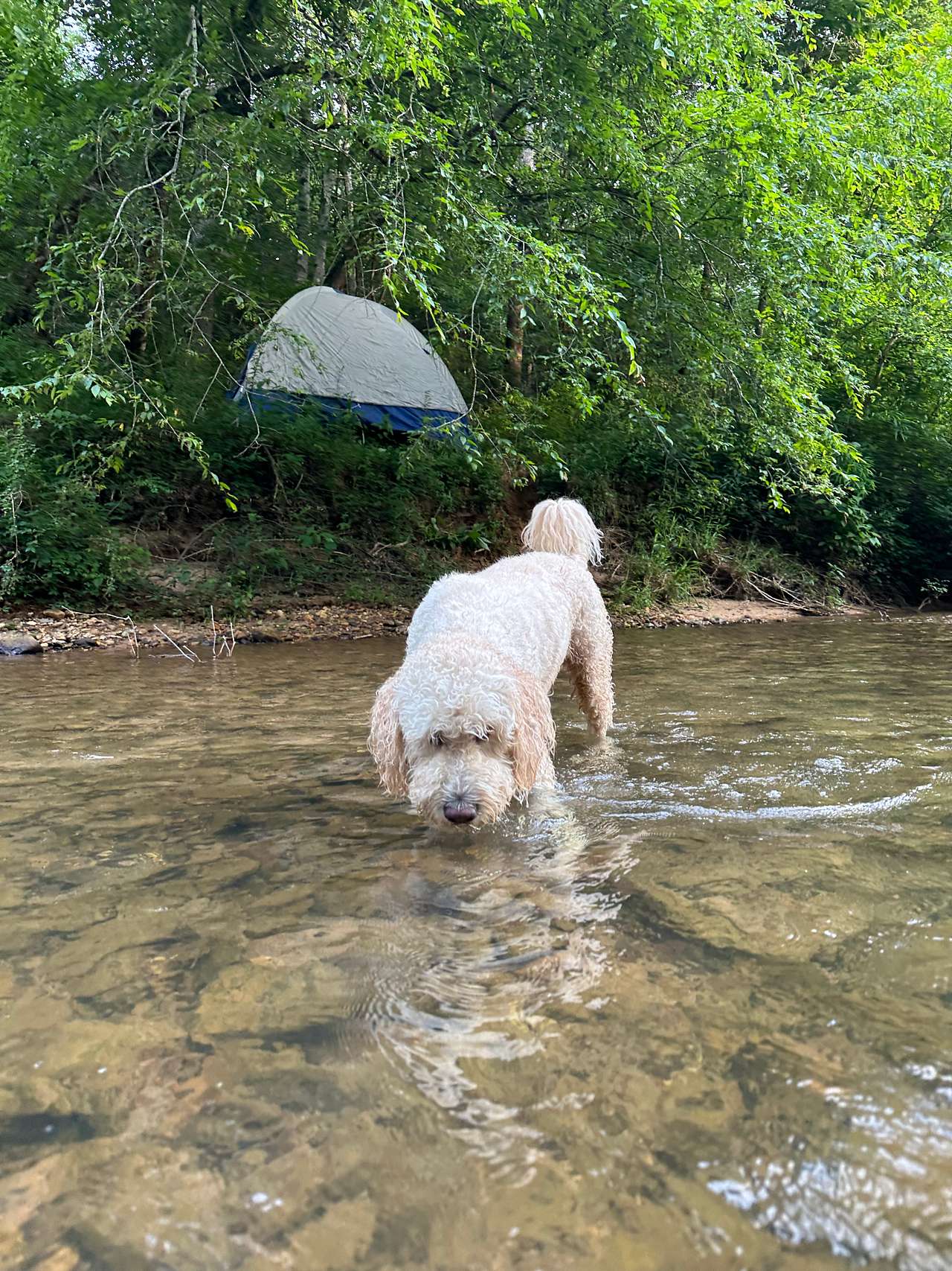 Tellurian Family Campground