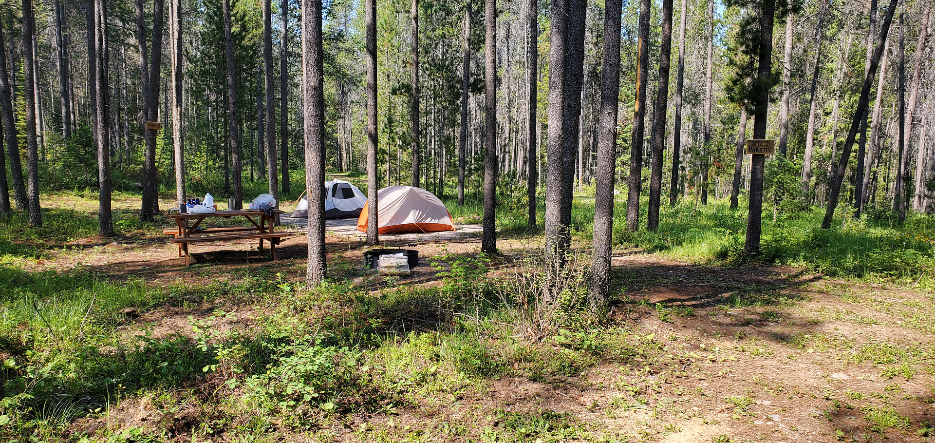 Site 2