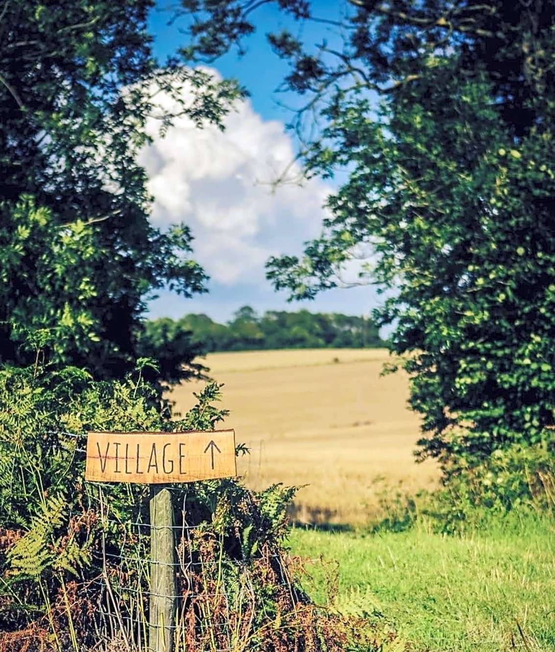 Beautiful Walk to Shepherdswell Village