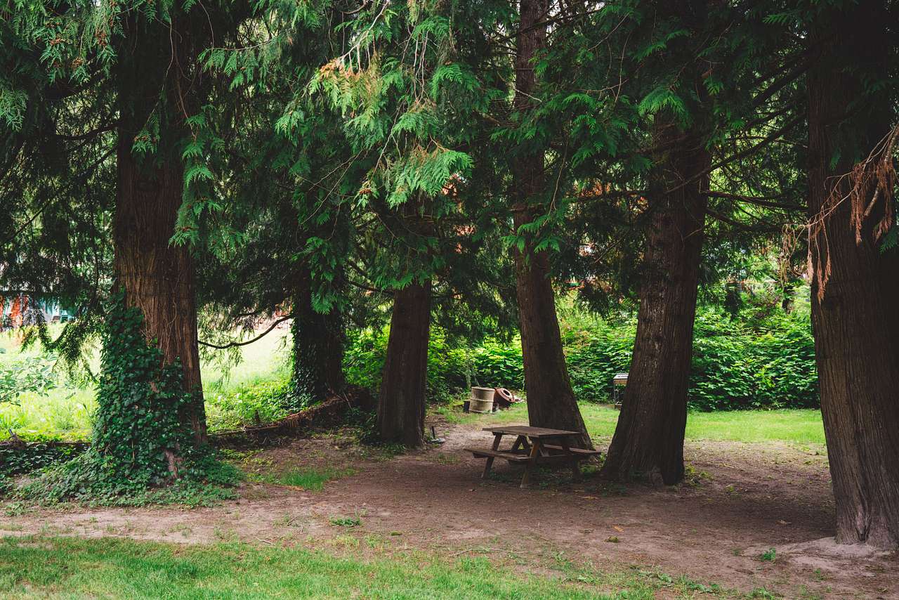 Living Large on Chilliwack River