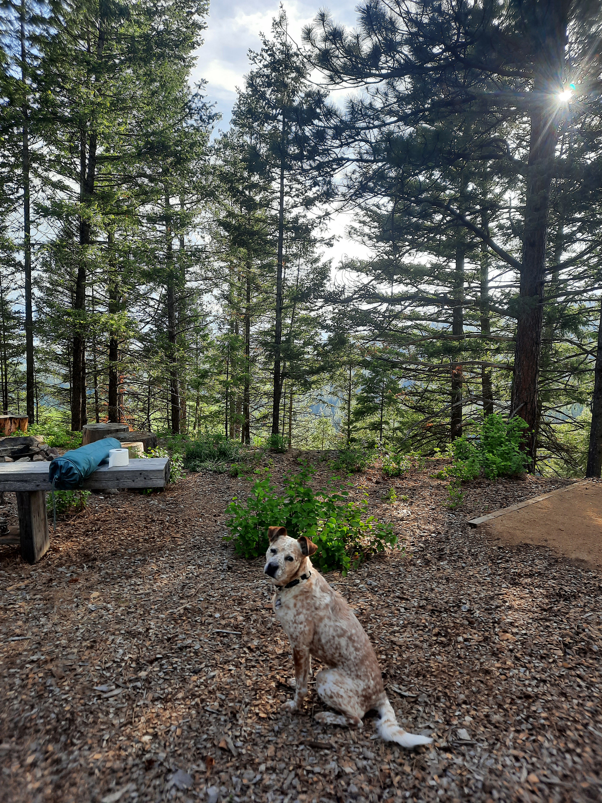 Ridgeline Retreat