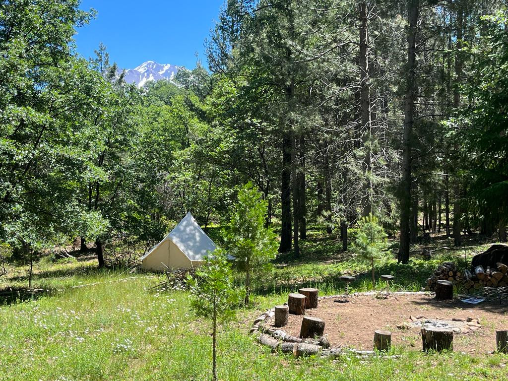 Willow's Healing Haven