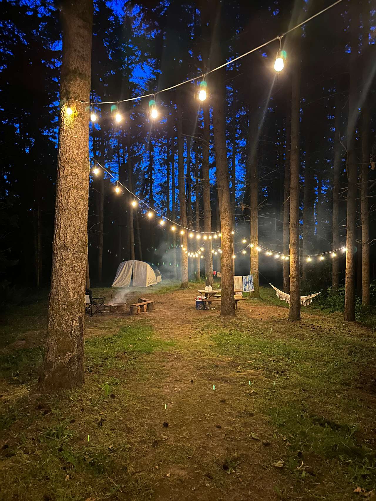 Akitaaru Forest Camp