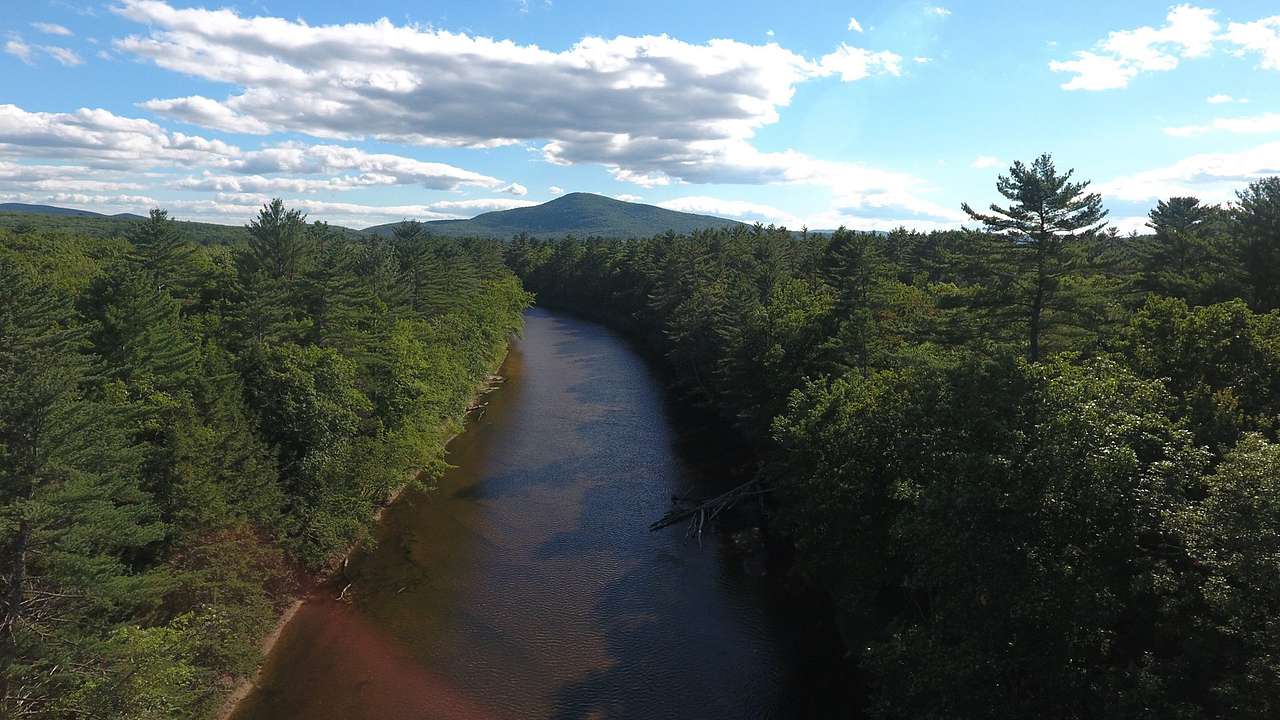 eCamp, Maine