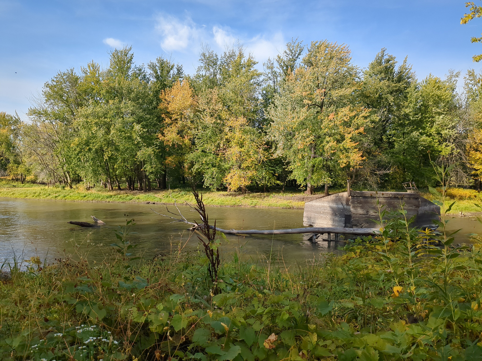 Larson's Landing