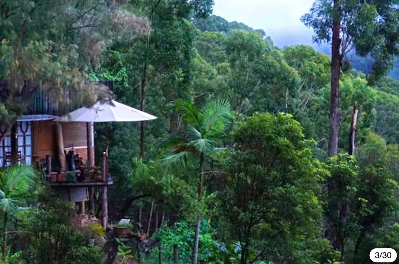 Treepod of the Treehouse