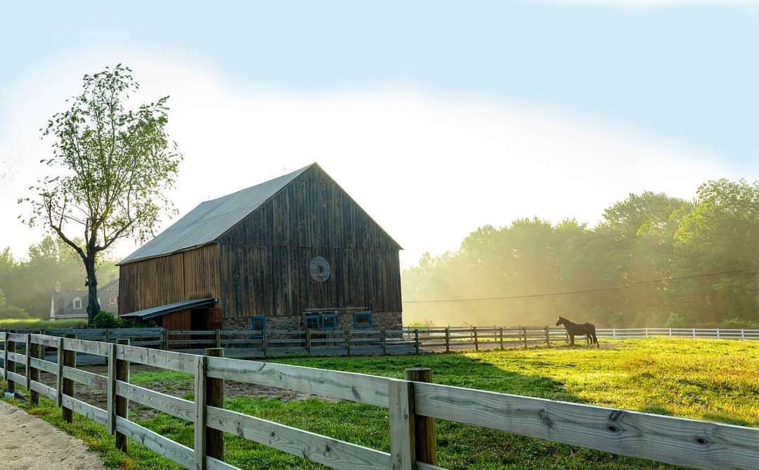 Windy Dell Farm
