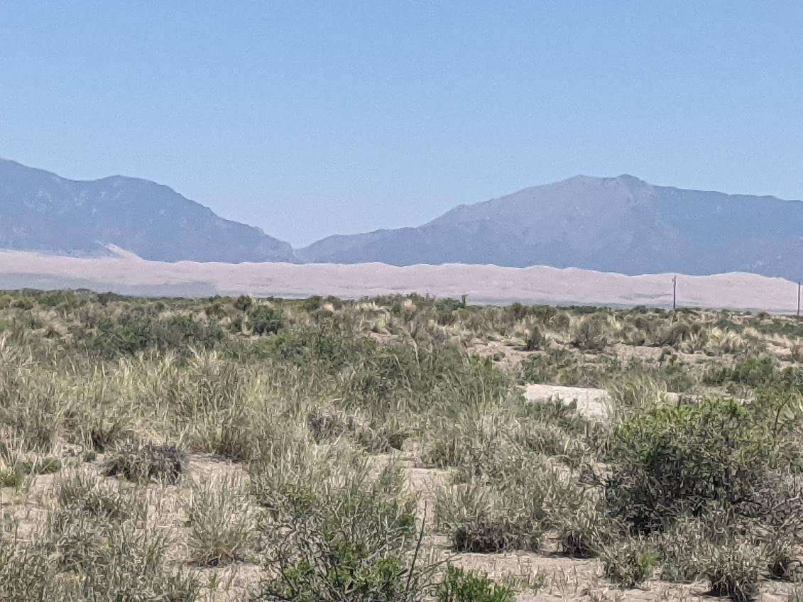 Dune Camp (hosted by Dune Glamping)