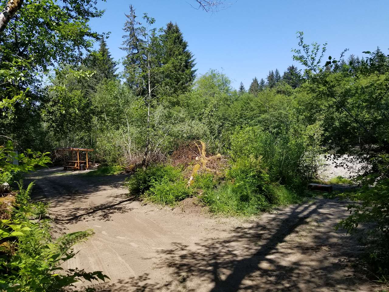Bogachiel Upriver Campsites