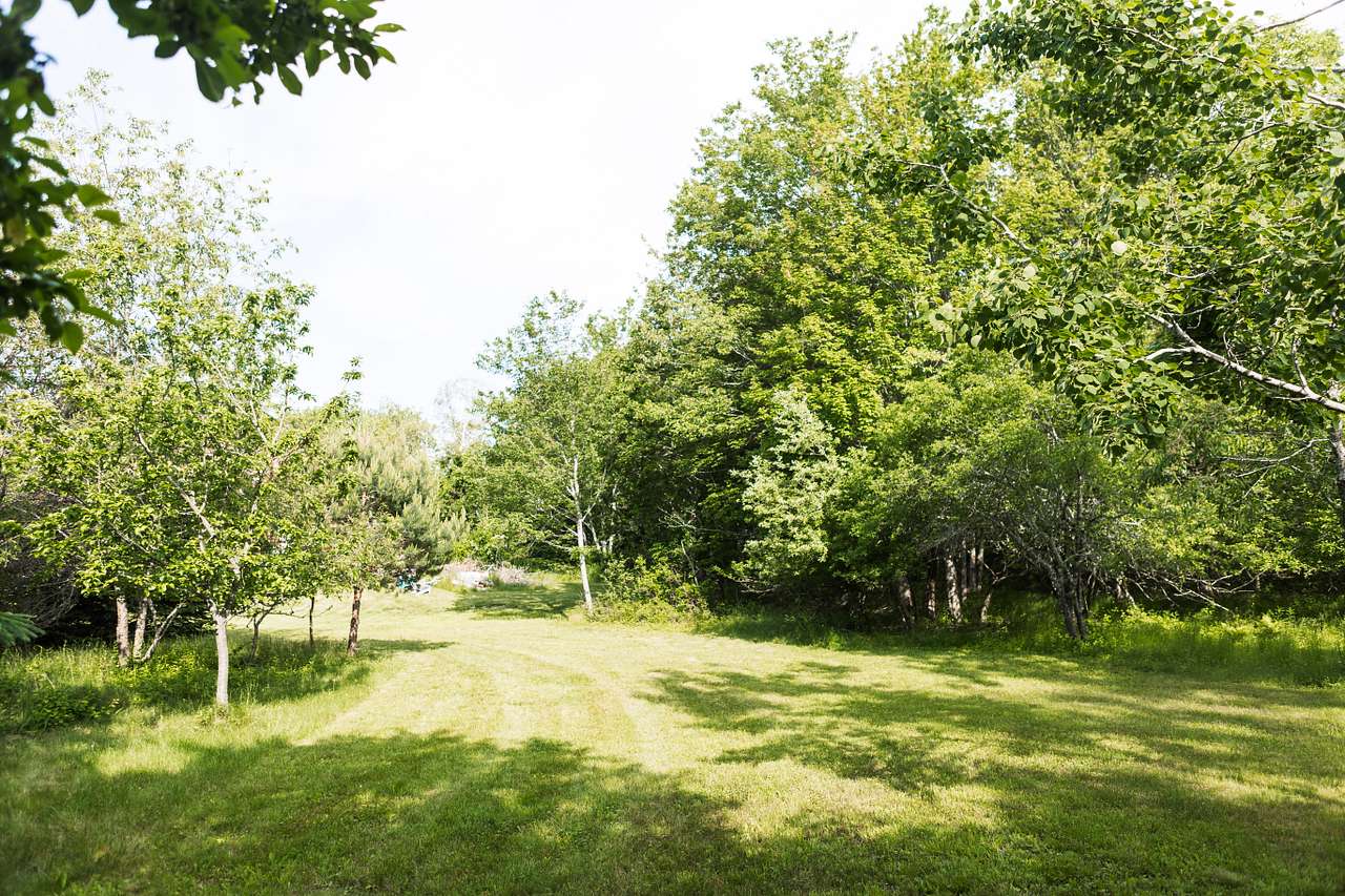 entrance into the campsite 