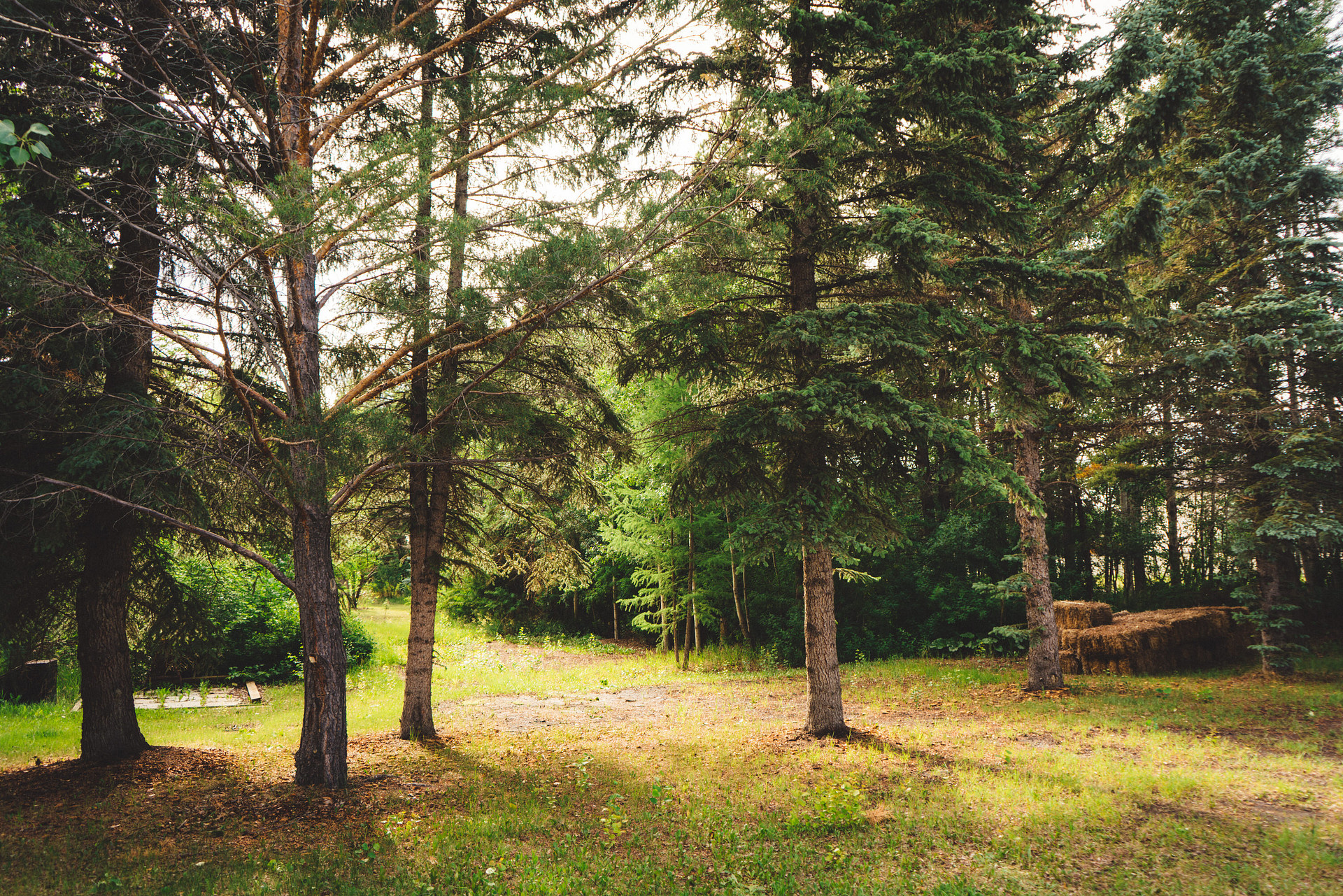 More RV-friendly spots near the driveway.
