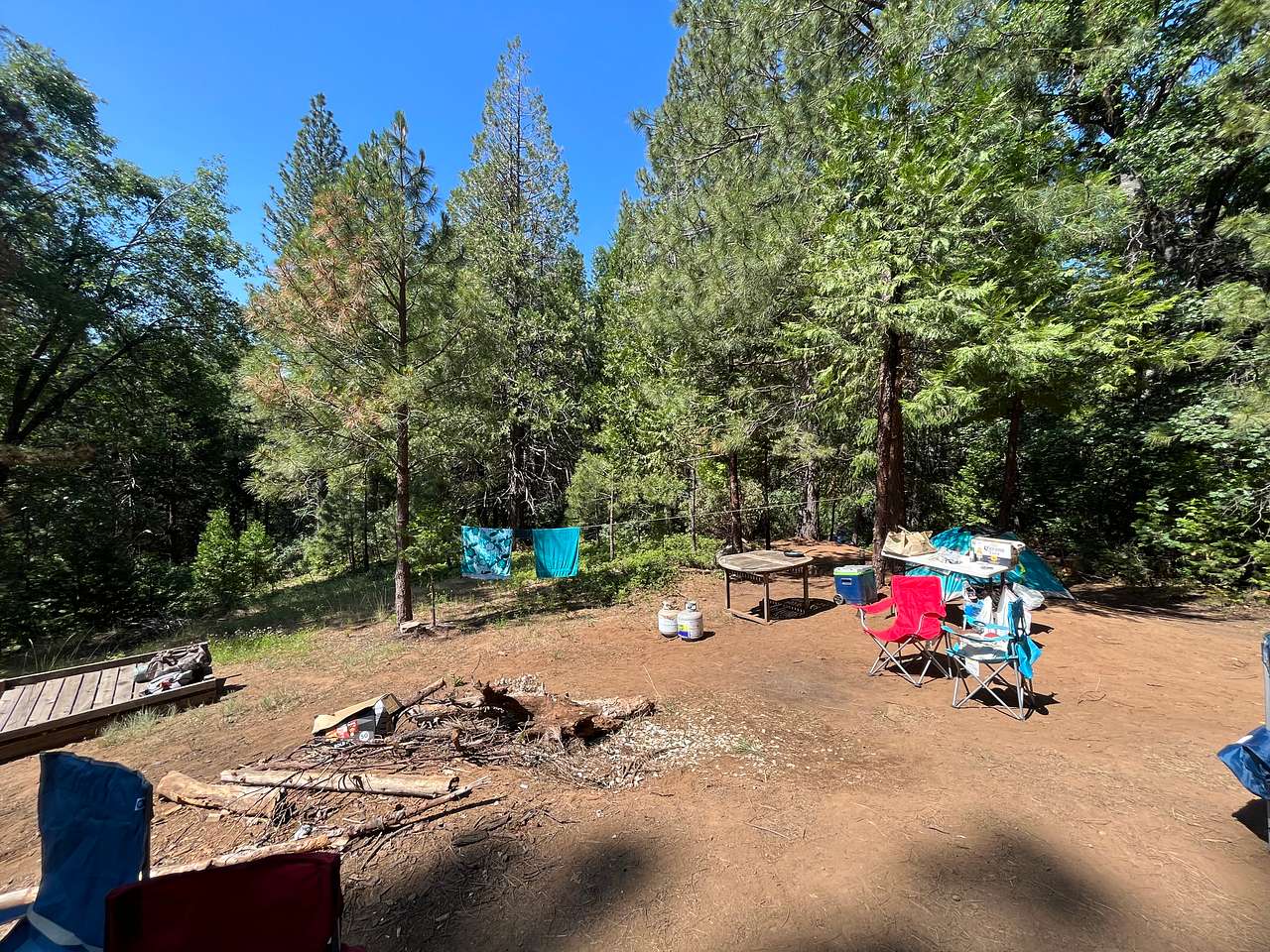 Gold Ridge Forest