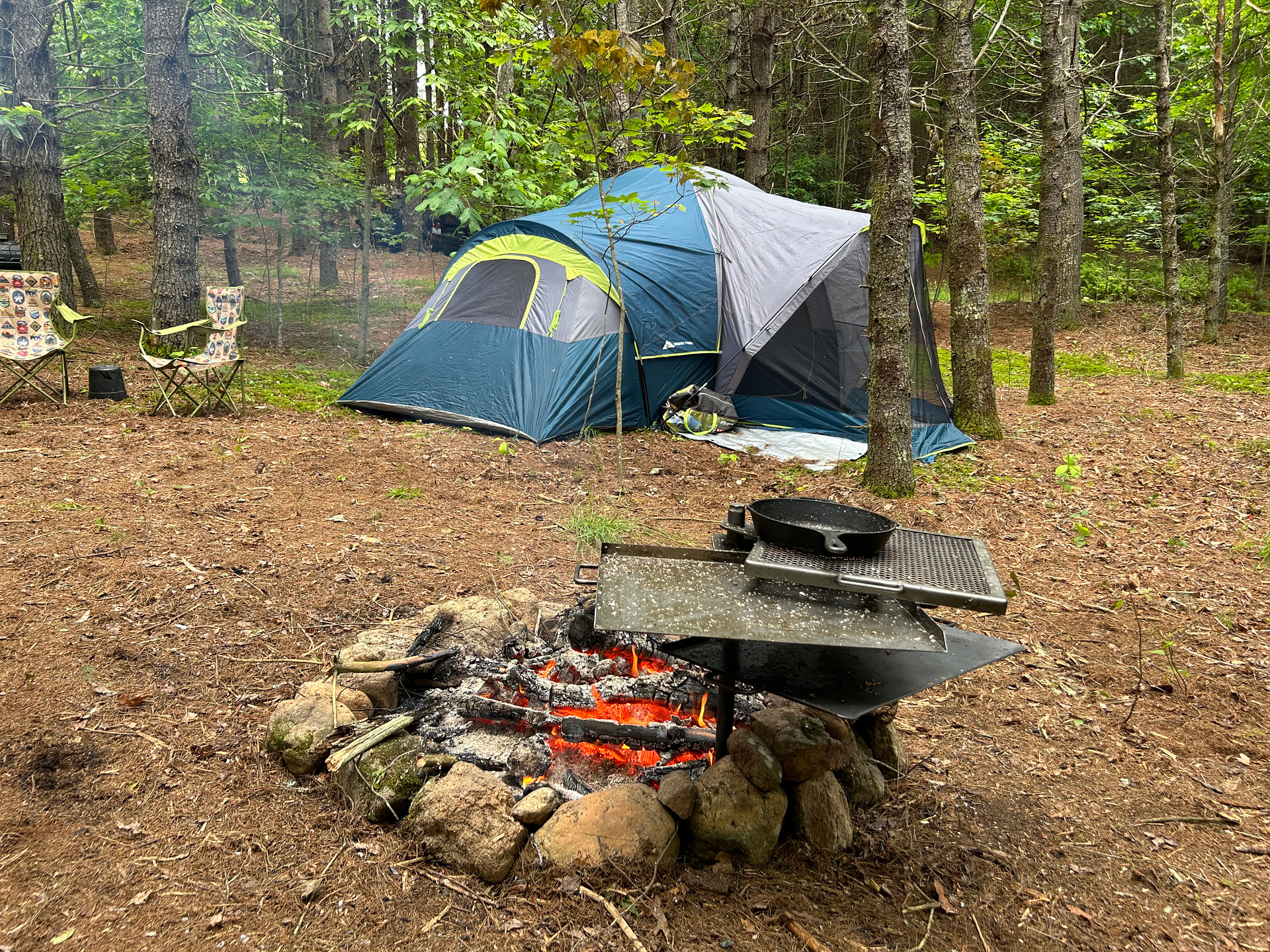 Deep in nature nestled within the trees. 