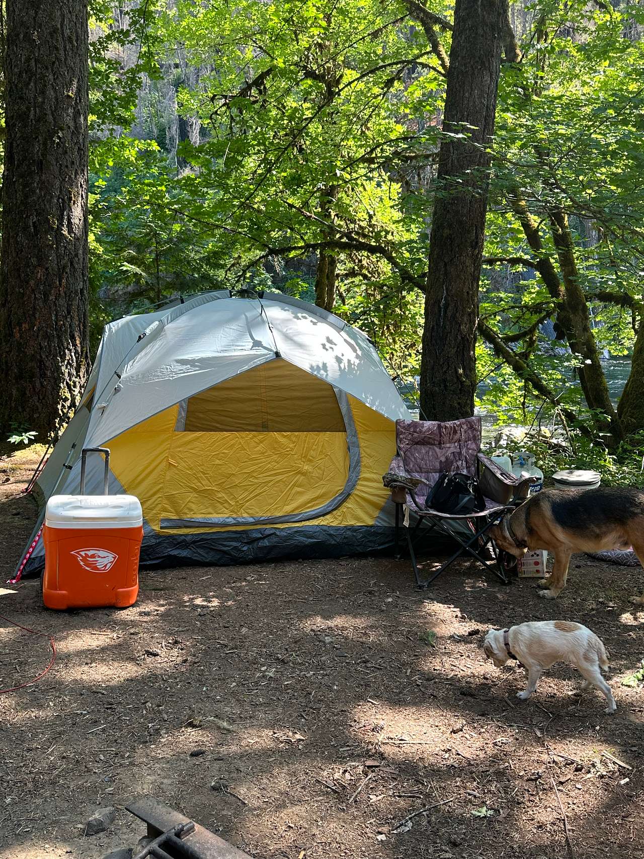 Island Campground