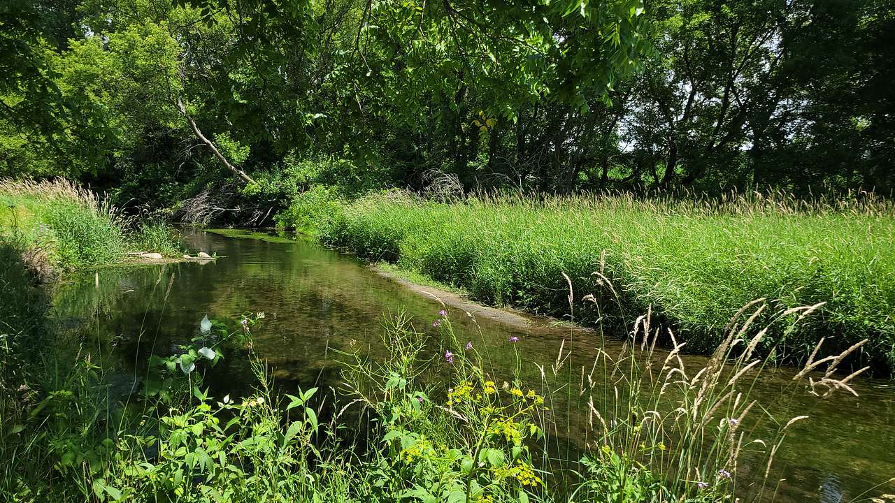 Spring Valley Ponds