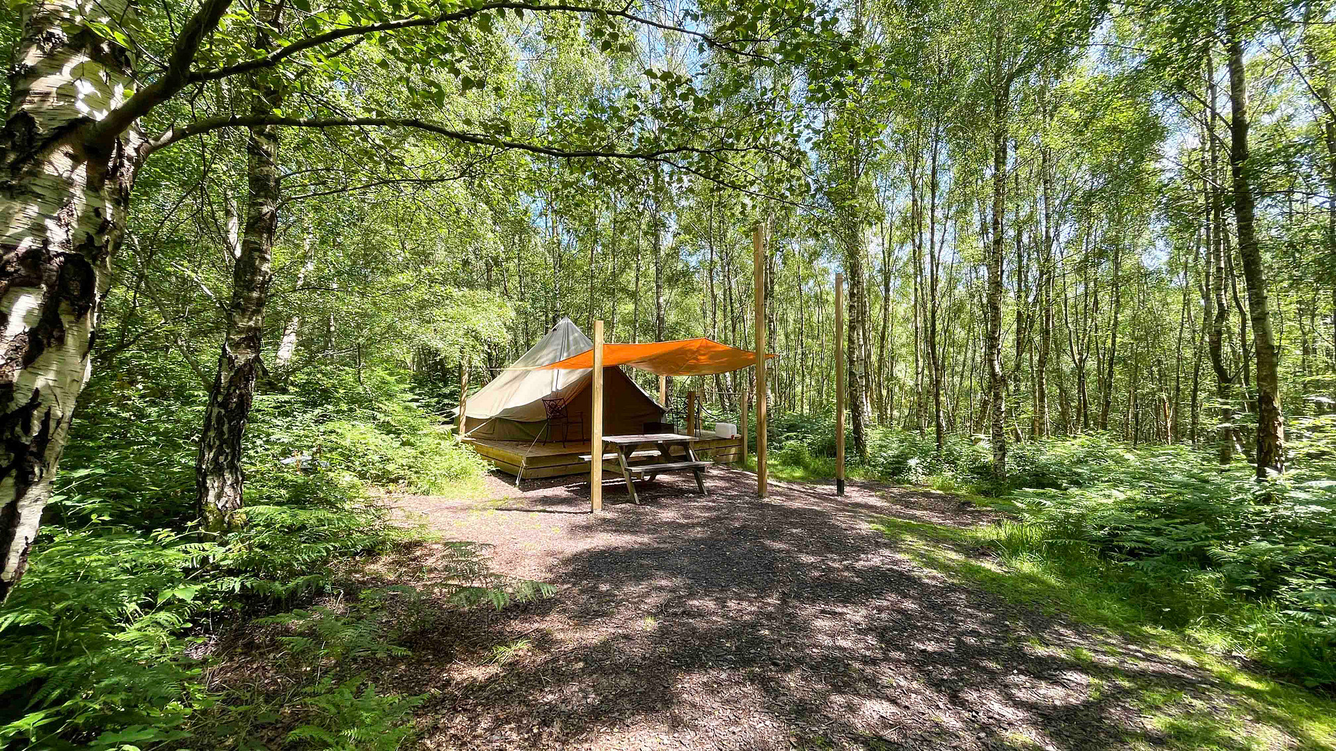 'Wild Glamping' Bell Tent at Beech Estate Campsite, East Sussex