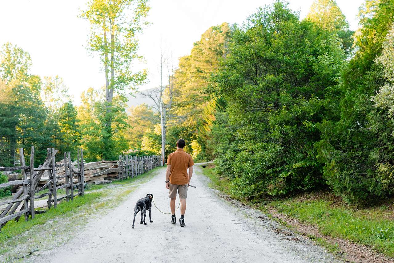 Quiet and relaxing nature walk from the property