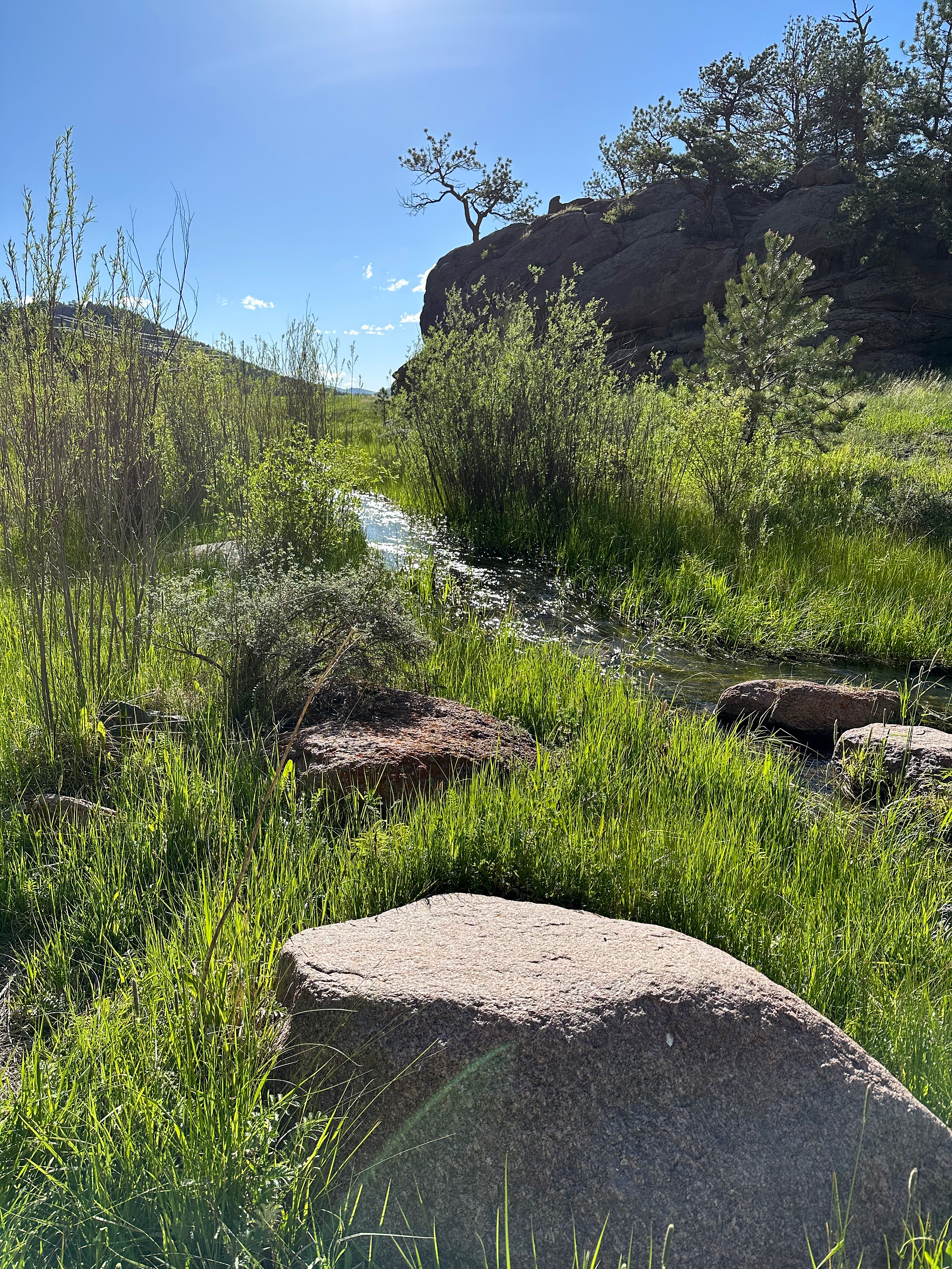 Local hiking