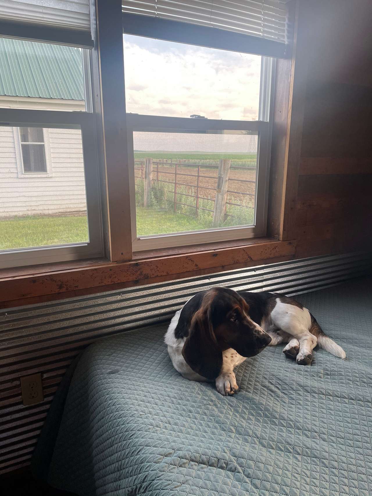 Diamond A Cattle Ranch