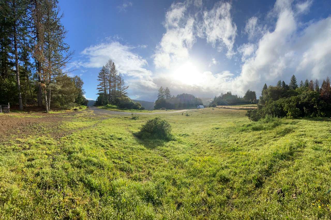 Silver Dragon Ranch