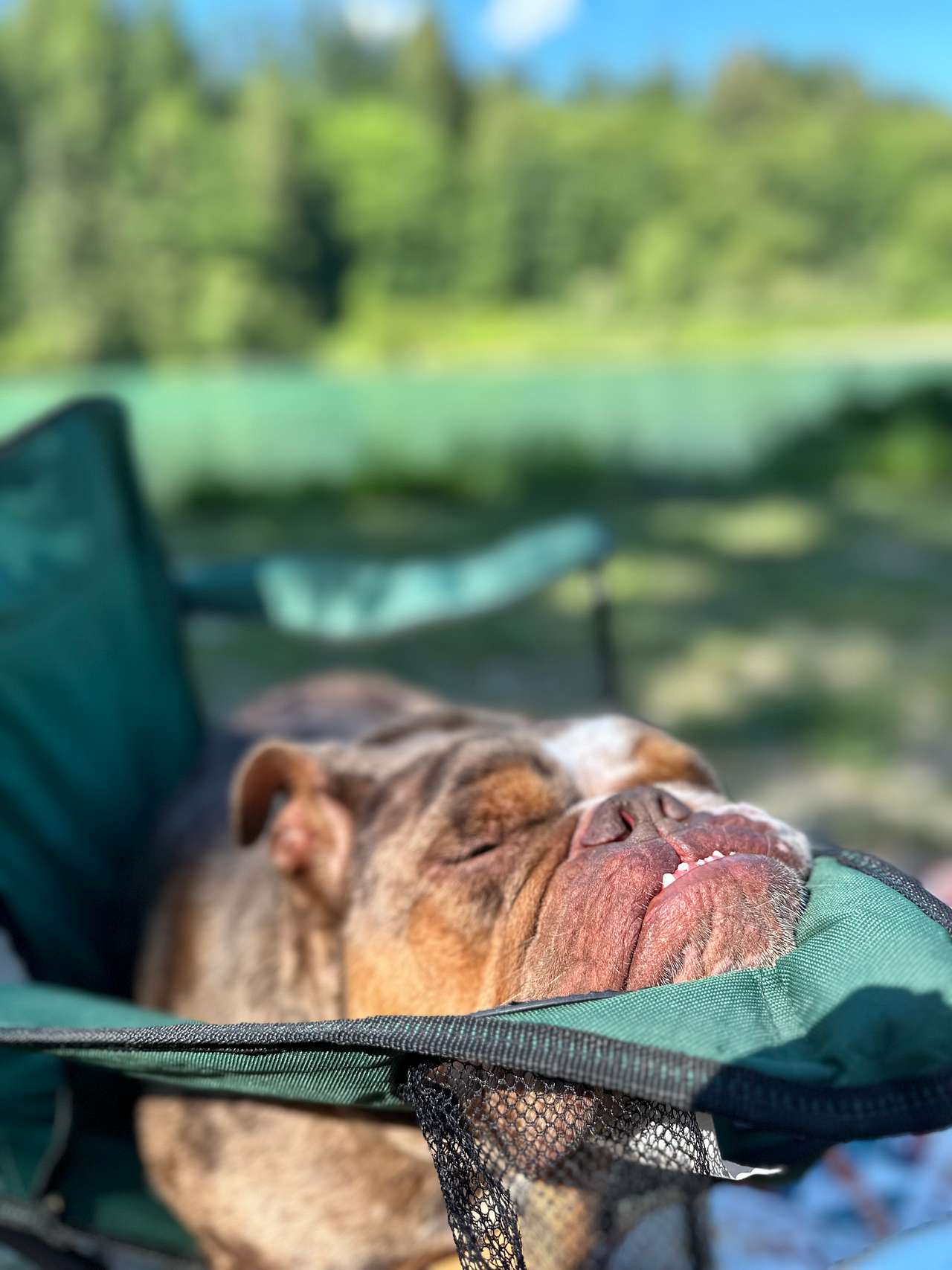 Eden East Skagit River