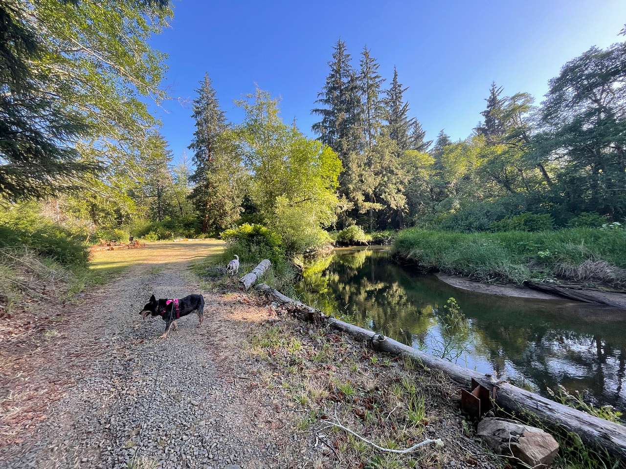 Williams Park campground