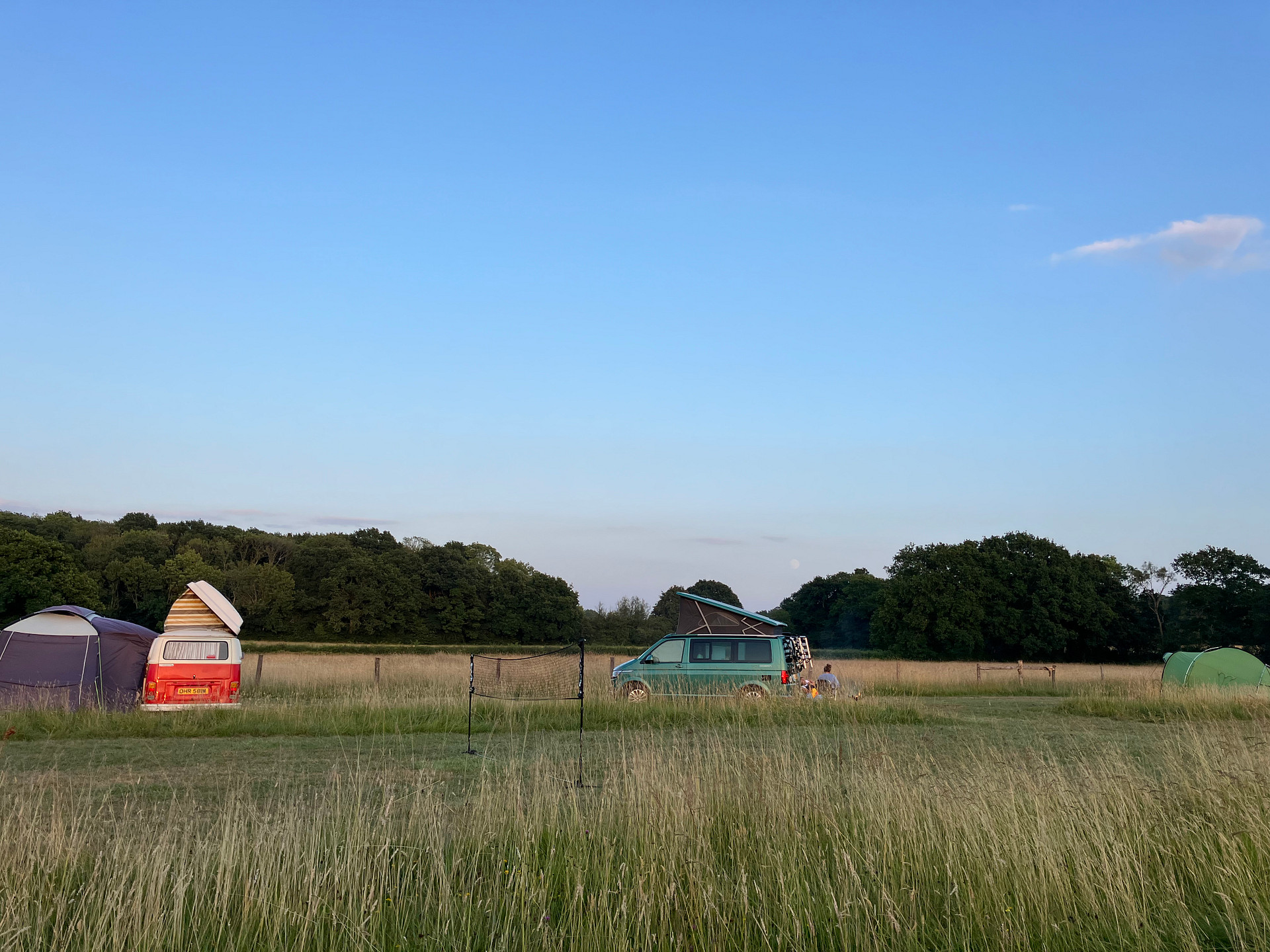 Cattlestone Farm Adult Only