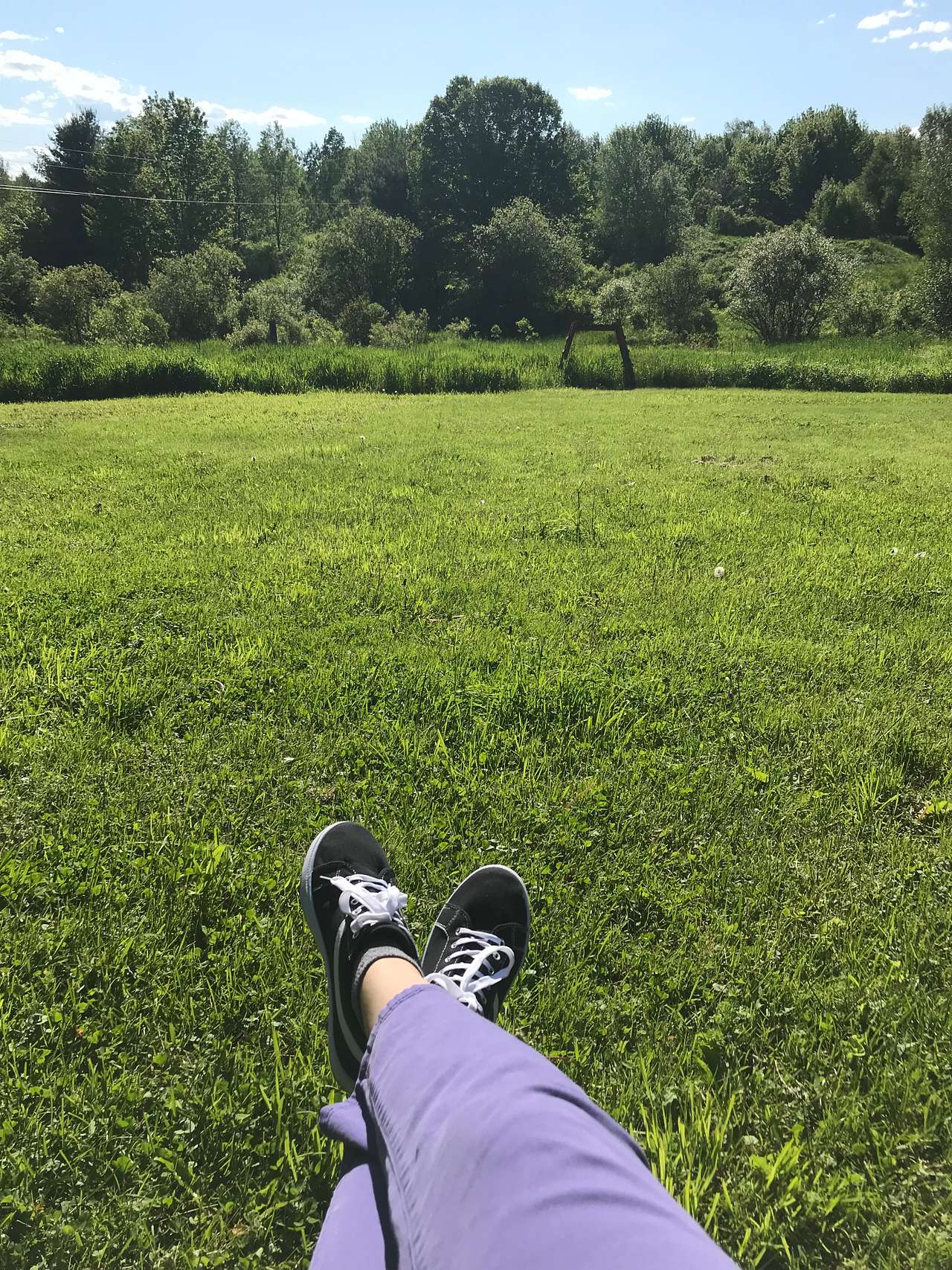 Wild Acres Farm