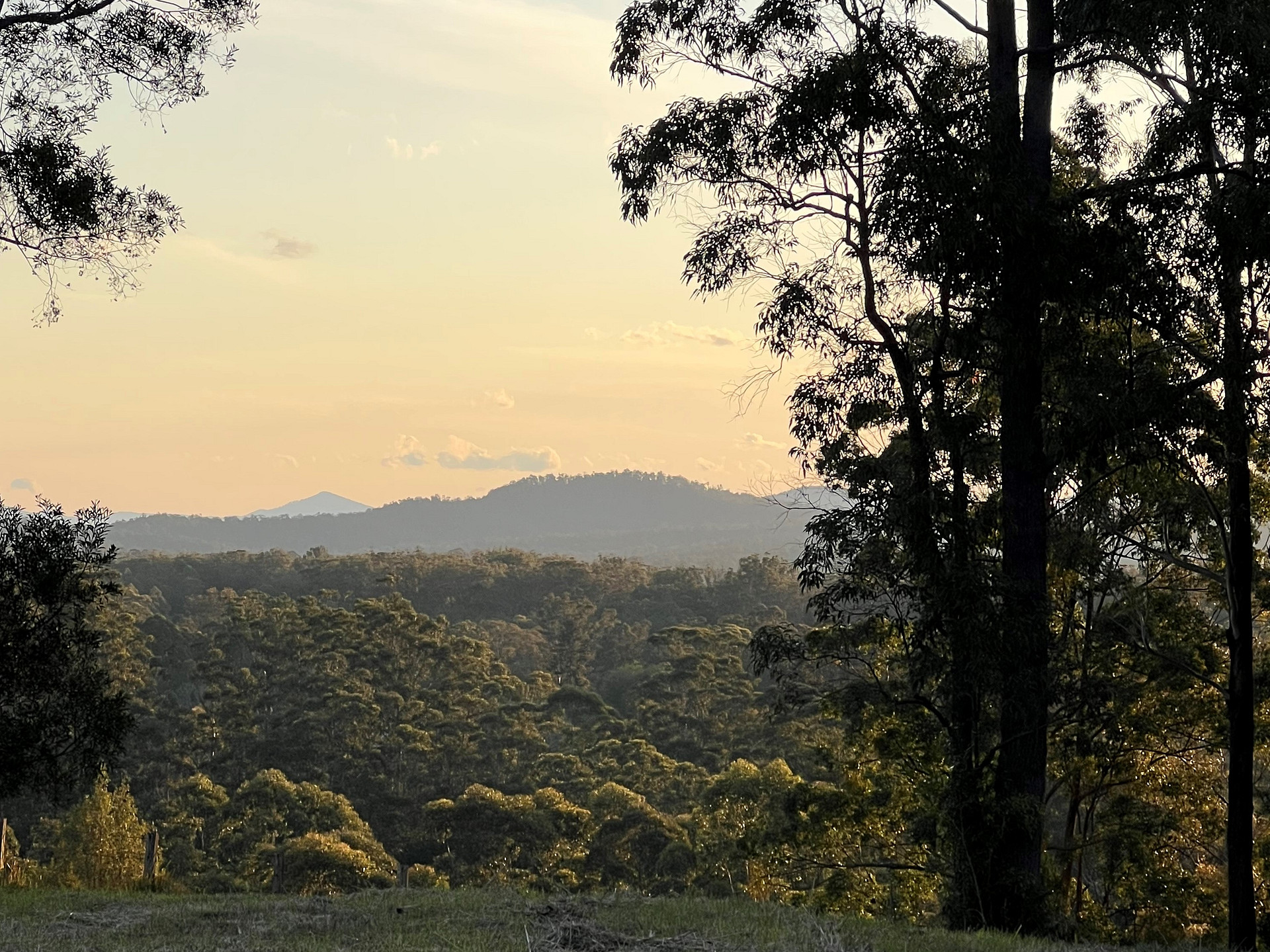 Watergums Farm
