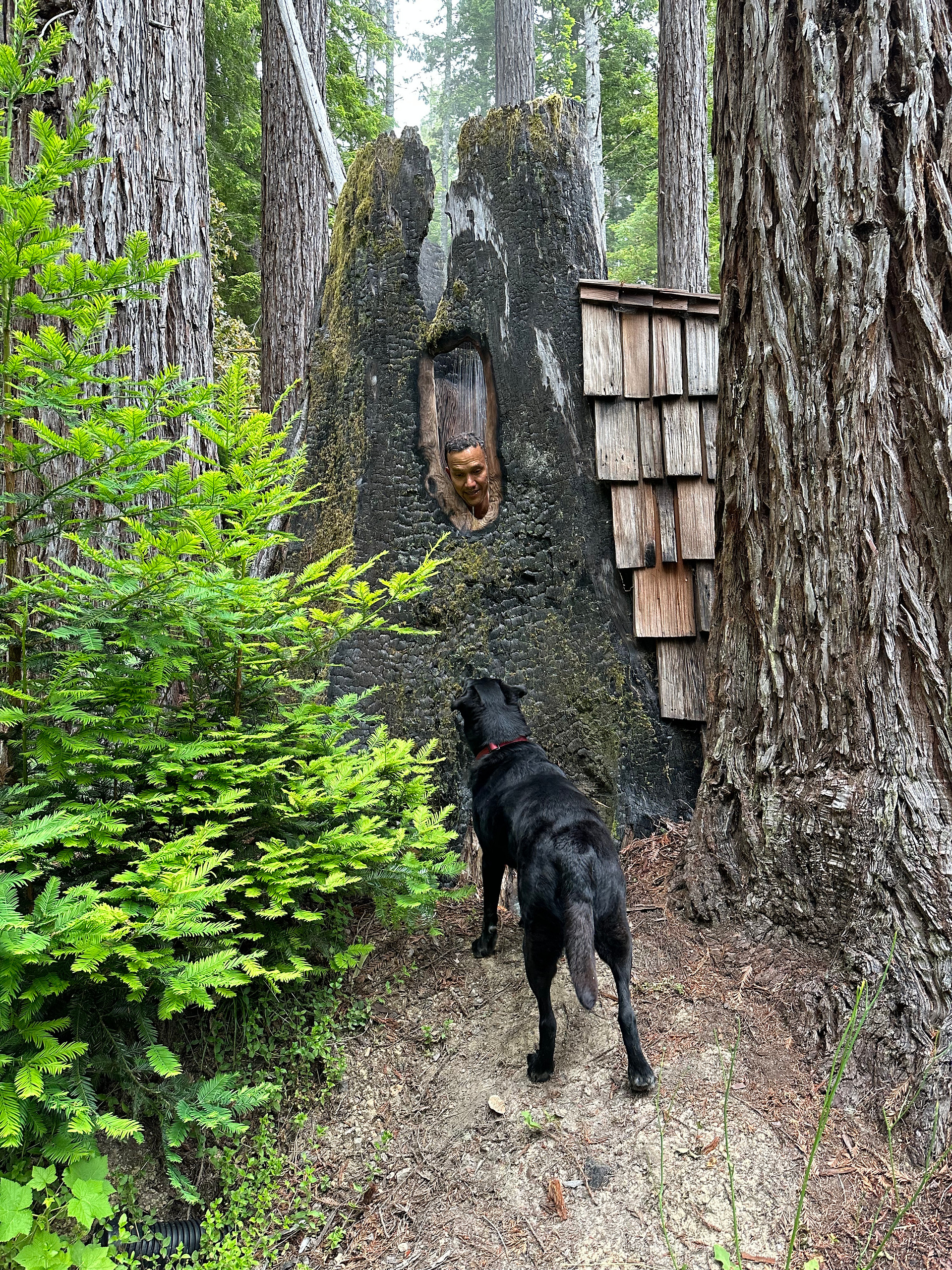 Heartwood Mendocino