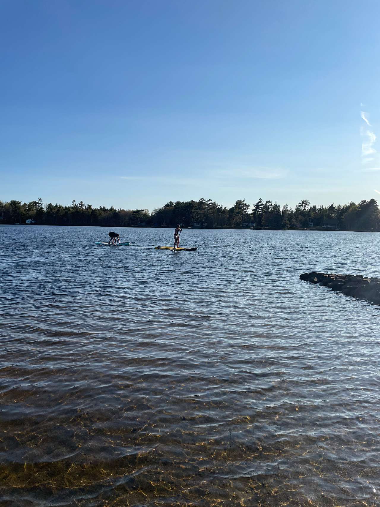 Paddle boarding allowed