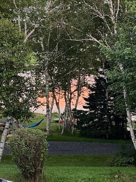 Silver Birch Camp