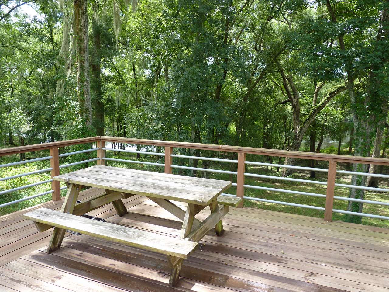 A nice spot for a picnic