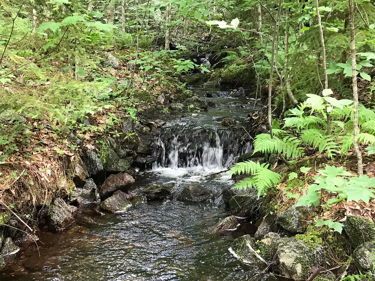 Stream.