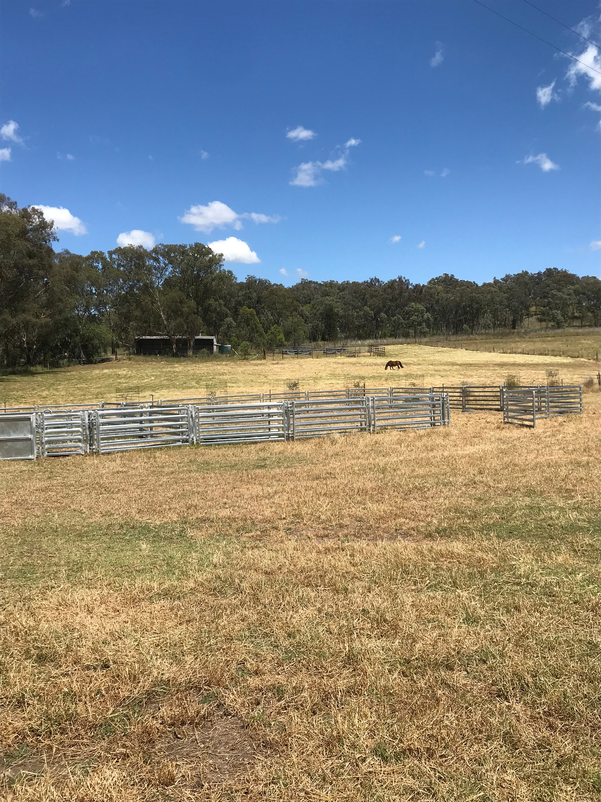 Kurrajong Farmstay