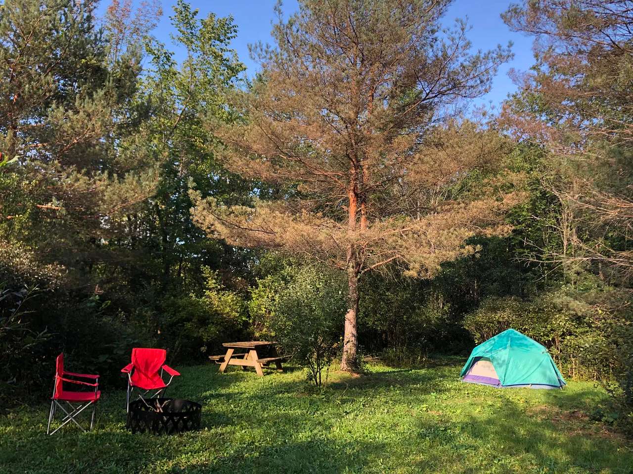 Mapletree Farm