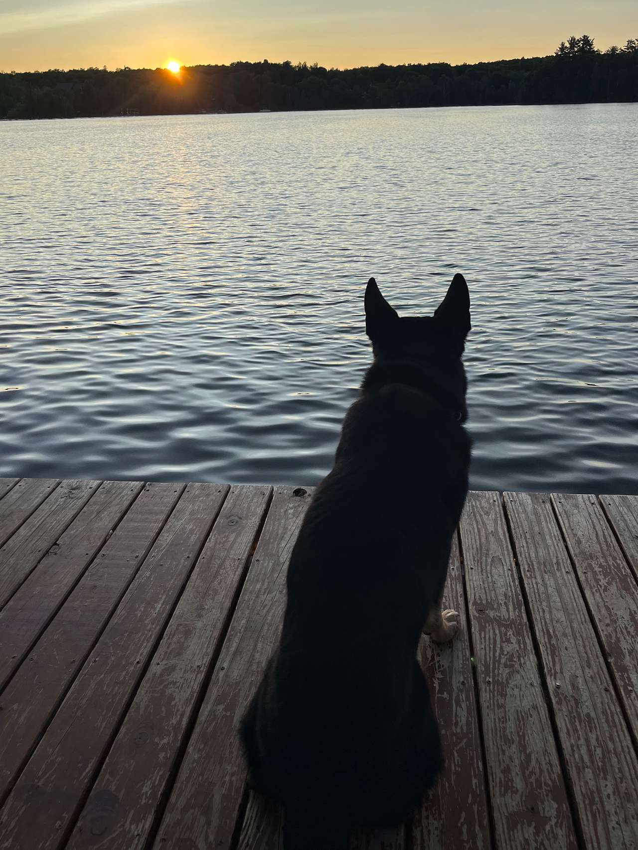 Da Sugarbush on Stanley Lake