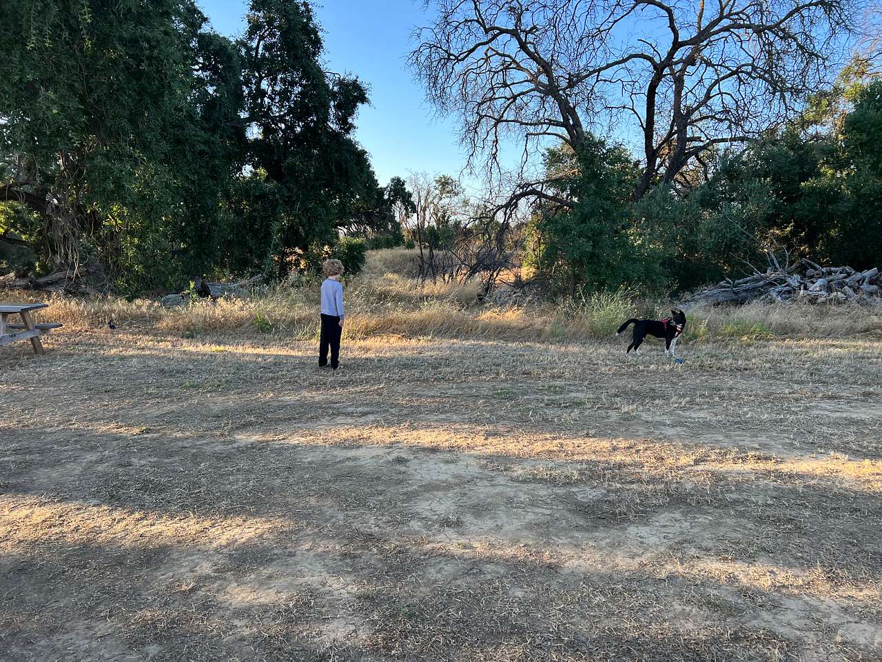 Corning Oaks