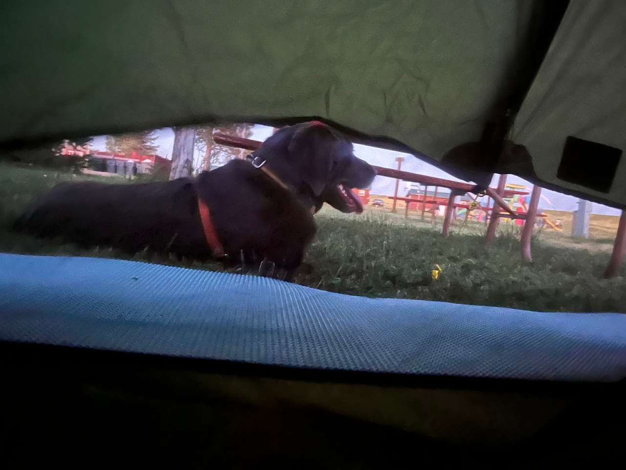 View from my tent